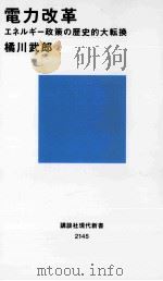 電力改革=エネルギー政策の歴史的大転換 PDF电子版封面