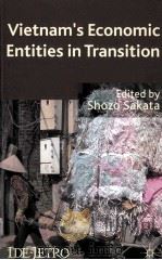 vietnam's economic entities in transition PDF电子版封面