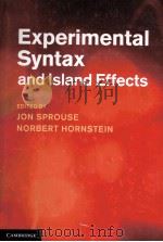 experimental syntax and island effects PDF电子版封面