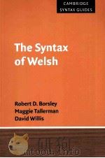 the syntax of welsh PDF电子版封面