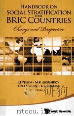 handbook on social stratification in the bric countries change and perspective PDF电子版封面