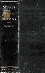 STUDIES IN FOSSIL BOTANY 1900 PDF电子版封面