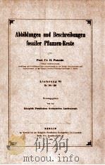 fossiler pflanzen-reste vol.6 1909 PDF电子版封面