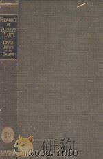 morphology of vascular plants（1936 PDF版）