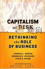 capitalism at risk rethinking the role of business PDF电子版封面