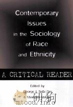 contemporary issues in the sociology of race and ethnicitya critical reader PDF电子版封面