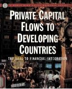 PRIVATE CAPITAL FLOWS TO DEVELOPING COUNTRIES THR ROAD TO FINANCIAL INTEGRATION 1997 PDF电子版封面 0195211162