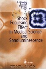 Shock Focussing Effect in Medical Science and Sonoluminescence PDF电子版封面 9783540425144 Ramesh C. Srivastava