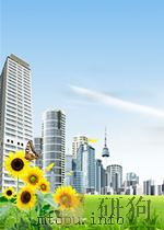 the environmental impact evaluation for polymers and sustainable development=高分子材料的环境影响评价和可持续发展 PDF电子版封面