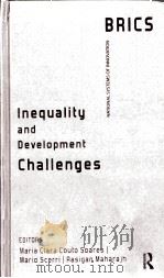 inequality and development challenges PDF电子版封面