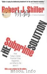 the subprime solution PDF电子版封面
