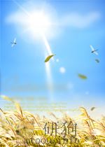 microeconometrics methods and applications PDF电子版封面