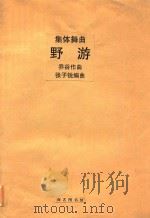 野游:集体舞曲 PDF电子版封面 乔谷作曲
