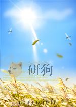 中日文化交流 轻松听日语 2 PDF电子版封面