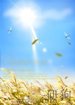 低音提琴和钢琴的变奏曲和回旋曲(外文) PDF电子版封面 HAJDU