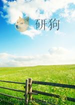 intelligent tinkering bridging the gap between science and practice PDF电子版封面