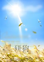 developmental biology PDF电子版封面