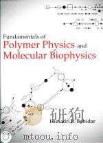 fundamentals of polymer physics and molecular biophysics PDF电子版封面
