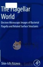 the flagellar world electron microscopic images of bacterial flagella and related surface structures PDF电子版封面