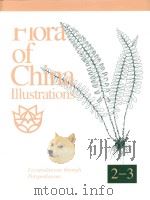 flora of china illustraations volume 2-3 PDF电子版封面