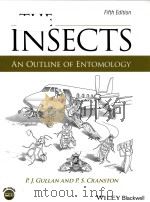 the insects an outline of entomology PDF电子版封面