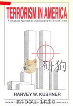 Terrorism in America A Structured Approach to Understanding the Terrorist Threat 1998 PDF电子版封面 039806895X