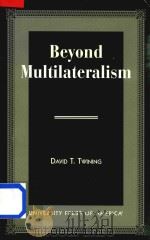 Beyond Multilateralism（1998 PDF版）