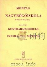 NAGYBOGOISKOLA PDF电子版封面 Montag Lajos
