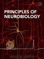 principles of neurobiology PDF电子版封面