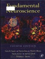 fundamental neuroscience fourth edition PDF电子版封面