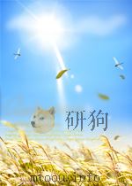 explorations of mathematical models in biology with mapletm PDF电子版封面