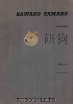 UNDULATION   1988  PDF电子版封面    SAWAKO TAMARU 