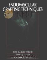 Endovascular grafting techniques 1999 PDF电子版封面 0683302094
