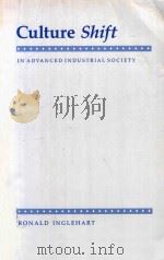 Culture Shift in Advanced Industrial Society（1990 PDF版）