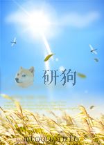 quantum chromodynamics on the lattice an introductory presentation 格点量子色动力学导论(影印版) PDF电子版封面