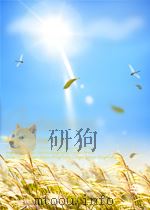 the maximal subgroups of the low-dimensional finite classical groups PDF电子版封面