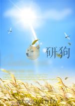 bifurcation theory of limit cycles=极限环分支理论 PDF电子版封面