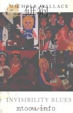 INVISIBILITY BLUES FROM POP TO THEORY（1990 PDF版）