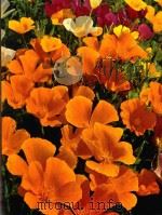 ANNUALS 1971 PDF电子版封面 JAMES UNDERWOOD CROCKETT