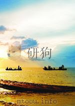 understanding and using c pointers = 学习使用c指针(影印版) PDF电子版封面