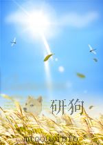 advanced theory of constraint and motion analysis for robot mechanisms PDF电子版封面