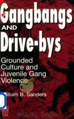GANGBANGS AND DRIVE-BYS GROUNDED CULTURE AND JUVENILE GANG VIOLENCE 1994 PDF电子版封面 0202305376