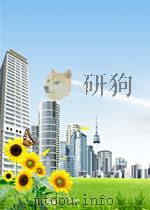 virtual synthesis of nanosystems by design from first principles to applications PDF电子版封面