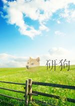 nanoparticle technology handbook = 纳米粒子技术手册 volume i PDF电子版封面
