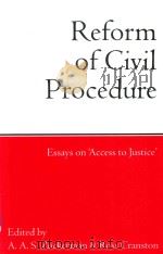 Reform of Civil Procedure Essays on 'Access to Justice'（1995 PDF版）