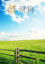 the road P287 PDF电子版封面