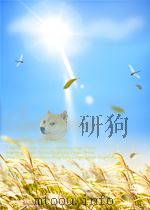 computational fluid-structure interaction methods and applications PDF电子版封面