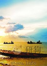 the man in the iron mask P632 PDF电子版封面