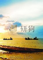 the focal dictionary of photographic technologies P725 PDF电子版封面