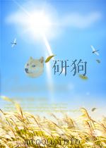 post transcriptional gene regulation P318 PDF电子版封面
